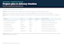 create your project plan, timeline and risk register